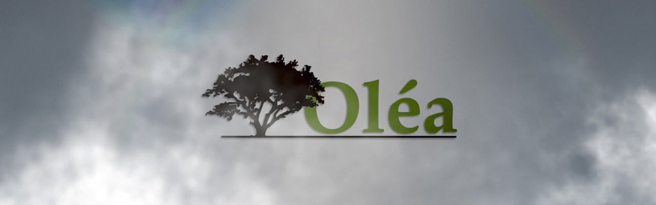 Olivier Husser - Oléa Production Audiovisuelle