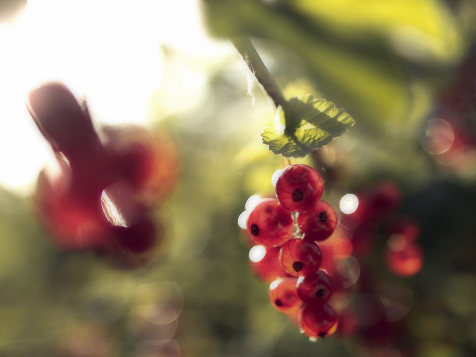 Tournage publicitaire