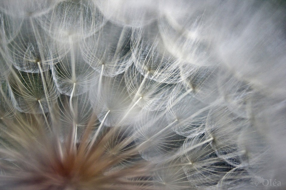 Chef de projets audiovisuels - tournage