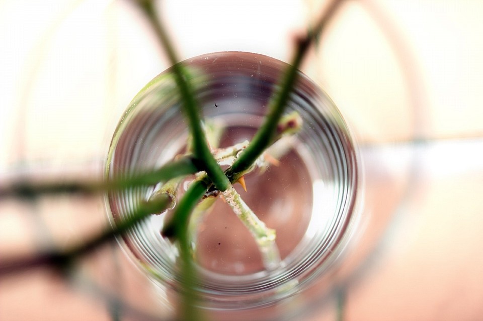 Vidéo corporate Olivier Husser