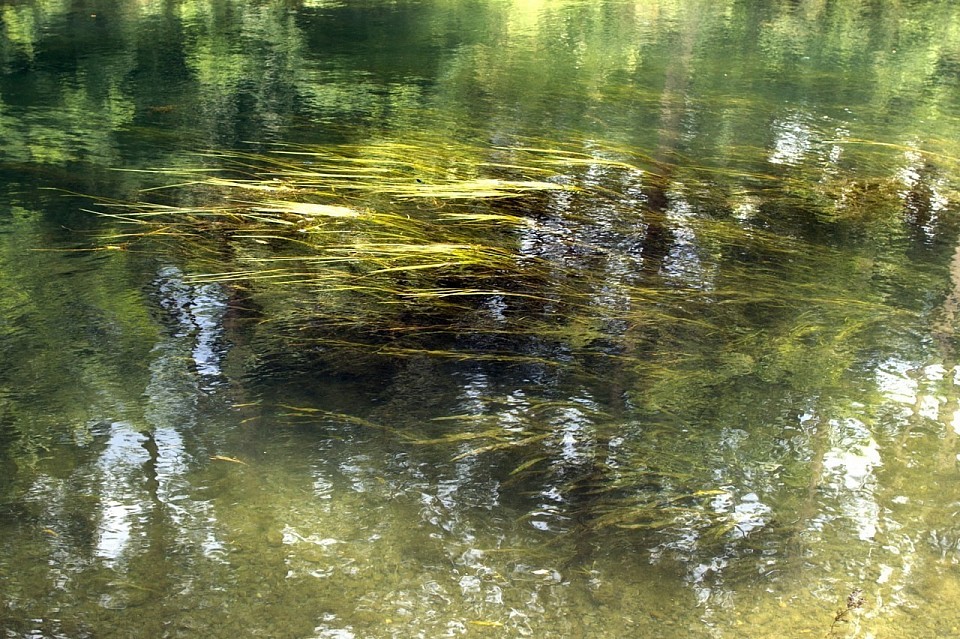 Film institutionnel - Oléa